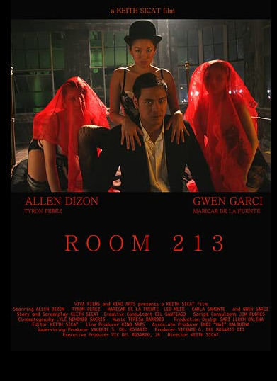 Room 213 (2008)